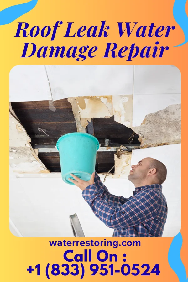 Roof Leak Water Damage Repair in Sheridan, OR
