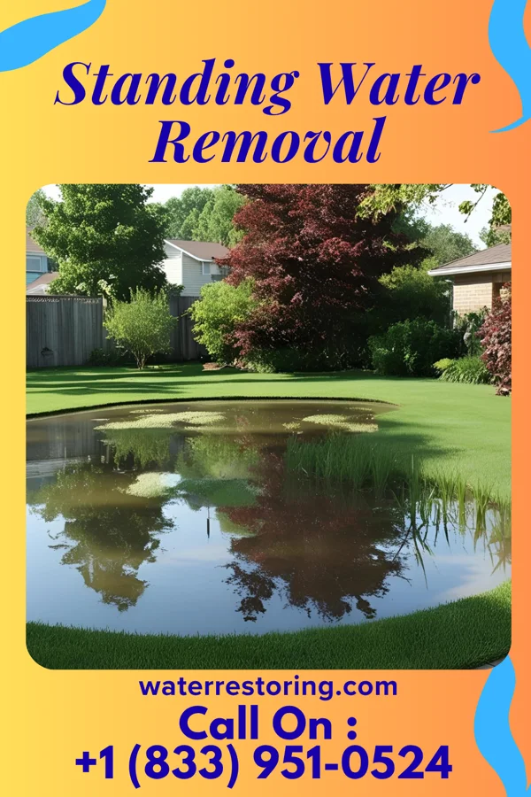 Standing Water Removal in Sheridan, OR